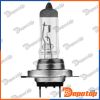 Ampoule Halogène H7 12V 55W PX26D | NEOLUX N499LL